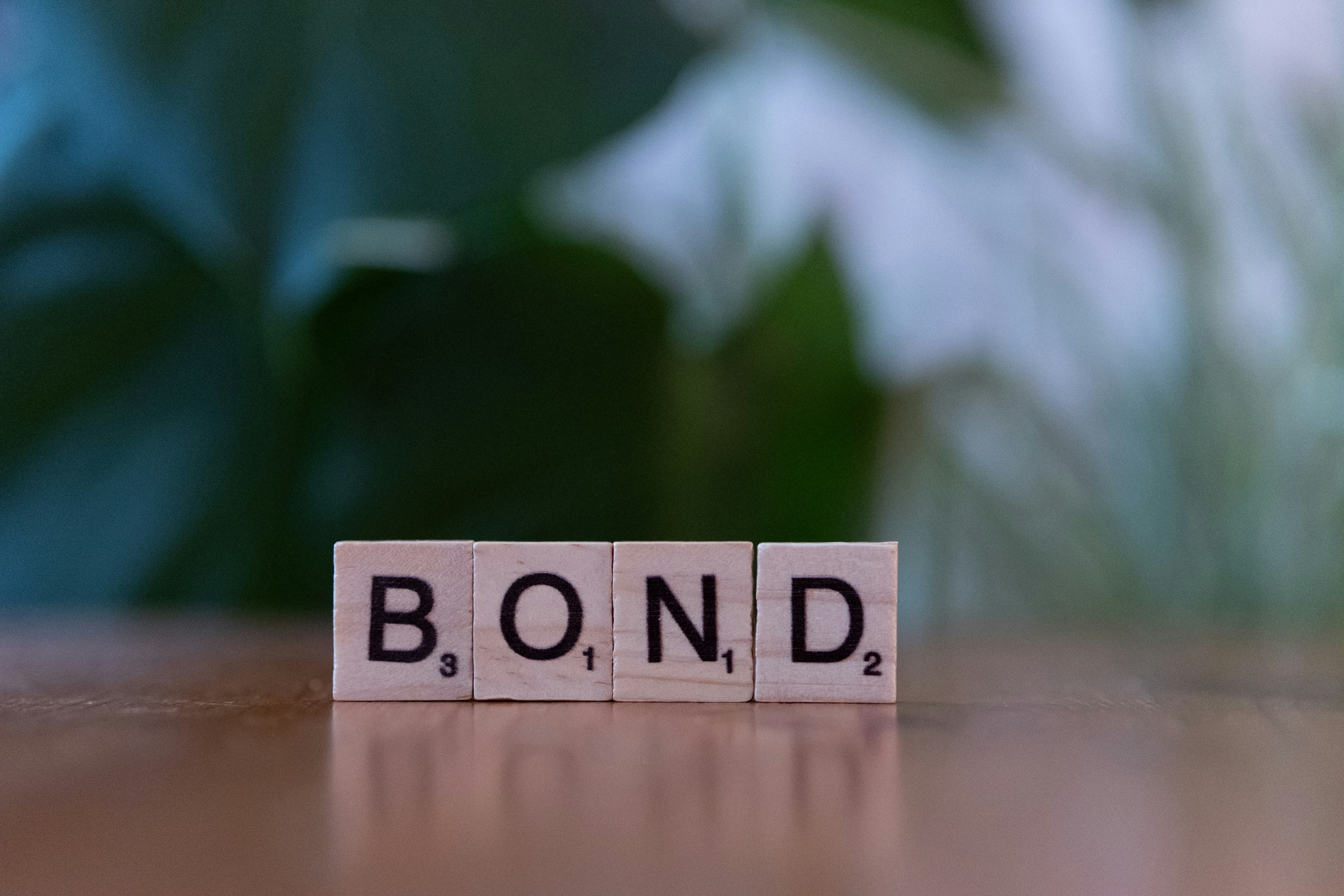 Cover Image for Bonds vs. Stocks: What Every Rule #1 Investor Should Know