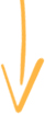 arrow icon